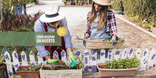 Diseño de huerto en jardín: cómo hacerlo paso a paso