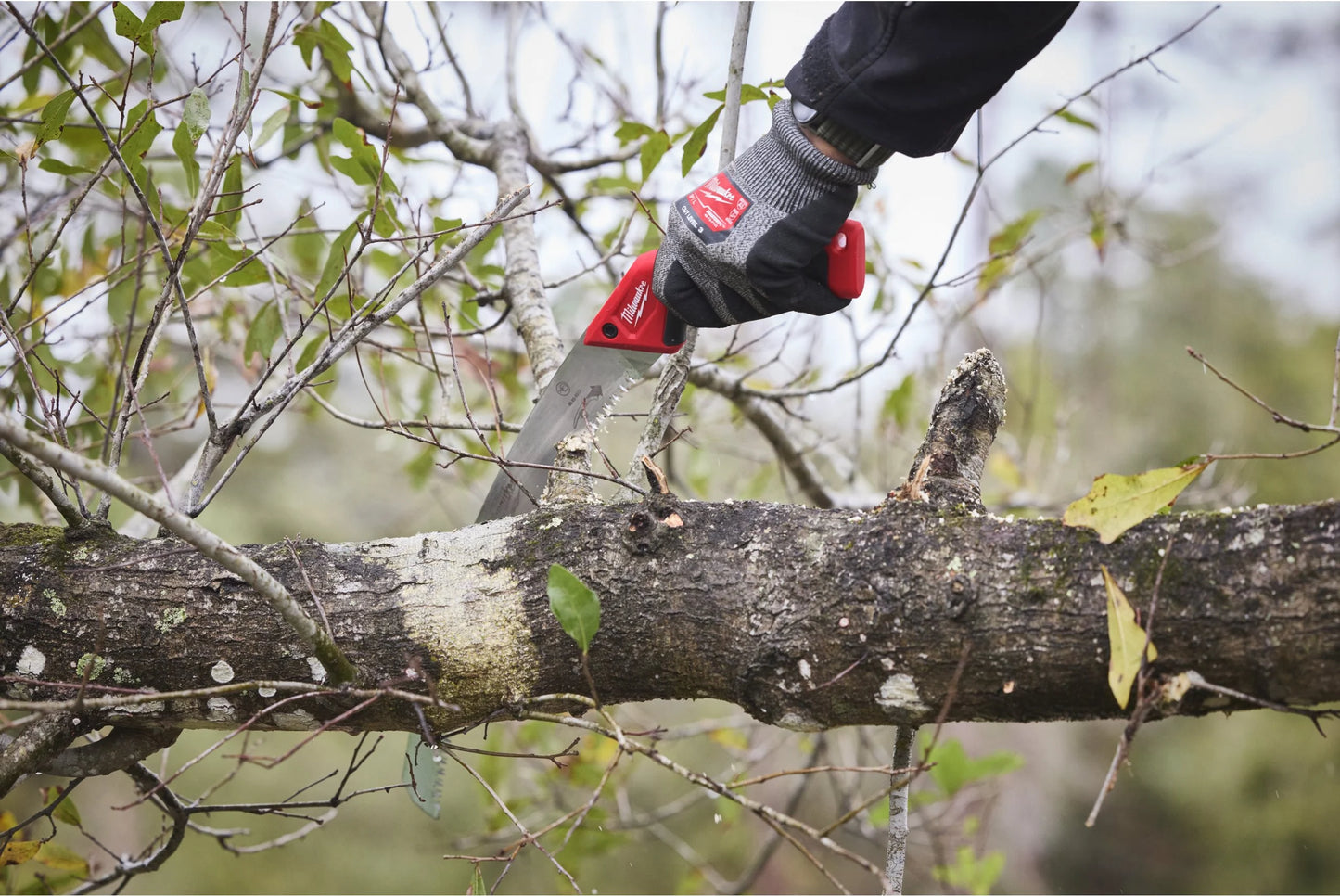 Milwaukee 35 cm gebogen snoeizaag met beschermhoes