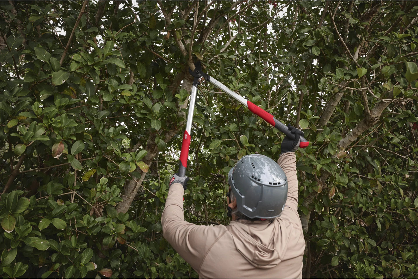 Tijera de poda de 2 manos 50cm Milwaukee