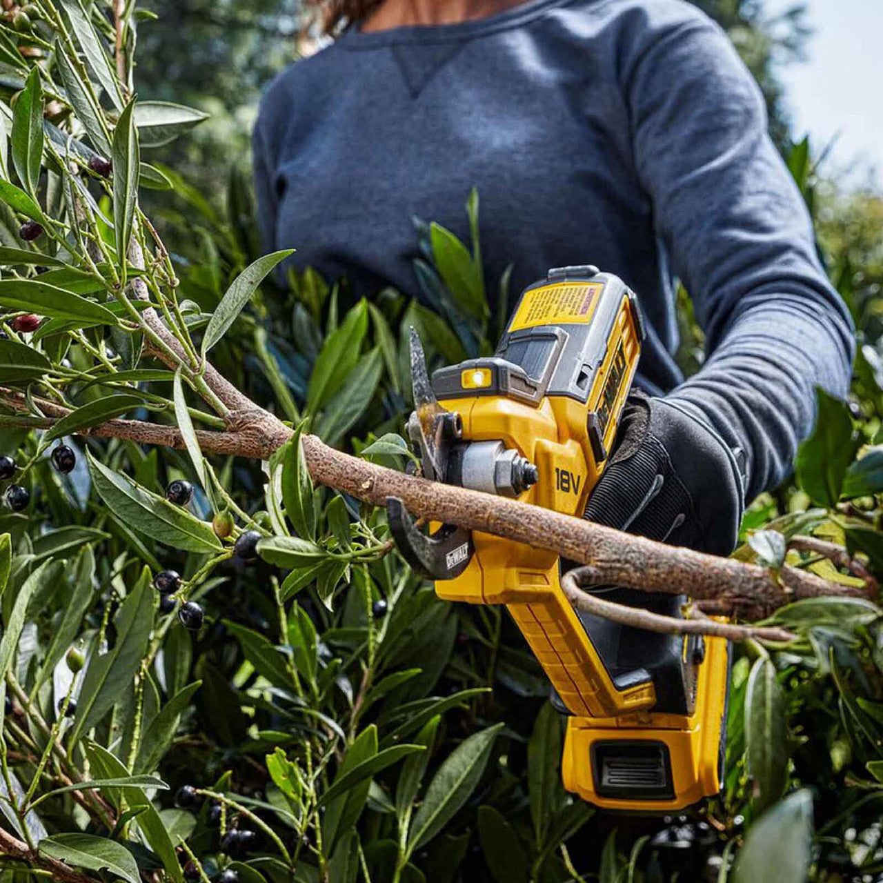Dewalt XR 18V Cordless Pruner with Battery and Charger DCMPP568P1